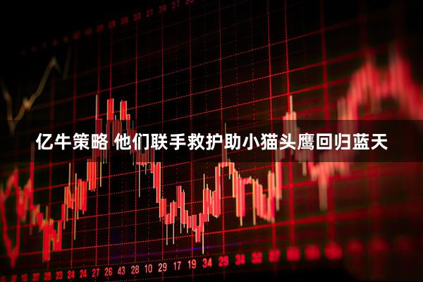 亿牛策略 他们联手救护助小猫头鹰回归蓝天