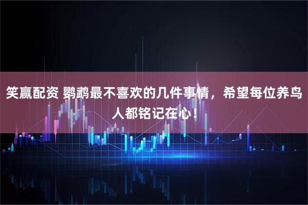 笑赢配资 鹦鹉最不喜欢的几件事情，希望每位养鸟人都铭记在心！
