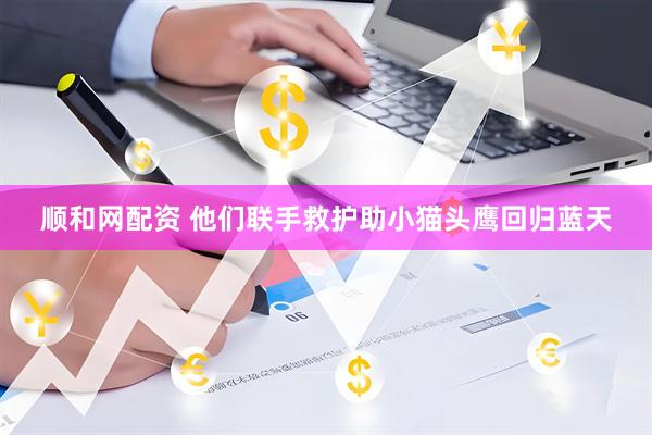 顺和网配资 他们联手救护助小猫头鹰回归蓝天