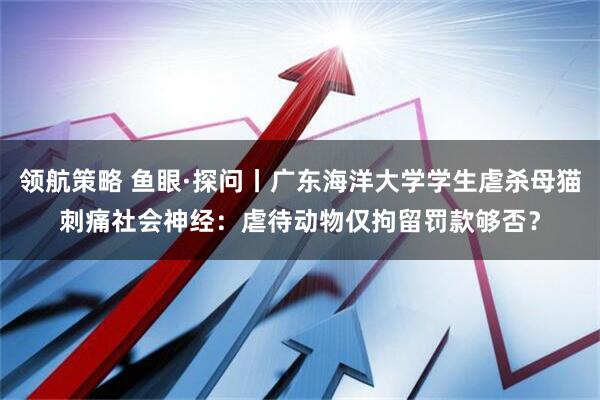 领航策略 鱼眼·探问丨广东海洋大学学生虐杀母猫刺痛社会神经：虐待动物仅拘留罚款够否？