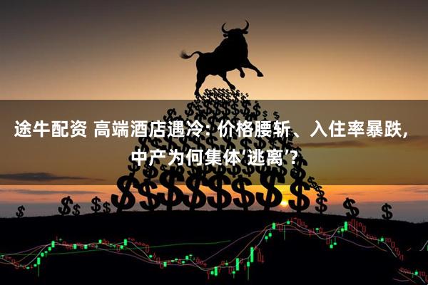 途牛配资 高端酒店遇冷: 价格腰斩、入住率暴跌, 中产为何集体‘逃离’?