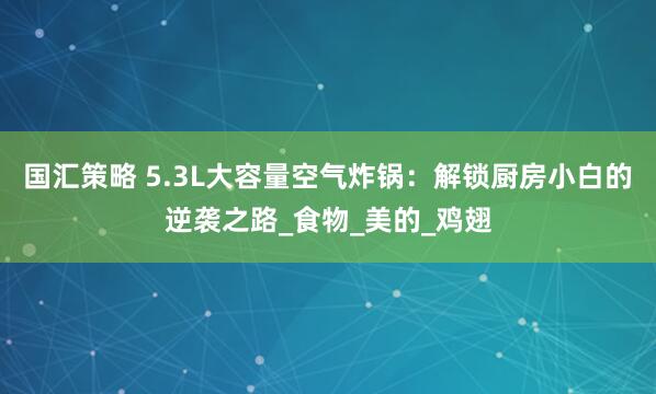 国汇策略 5.3L大容量空气炸锅：解锁厨房小白的逆袭之路_食物_美的_鸡翅