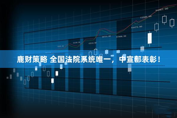 鹿财策略 全国法院系统唯一，中宣部表彰！