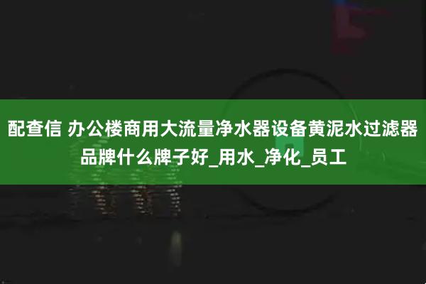 配查信 办公楼商用大流量净水器设备黄泥水过滤器品牌什么牌子好_用水_净化_员工
